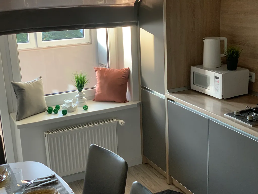 Квартира Однокомнатная квартира возле озера Тихого — Светлогорск