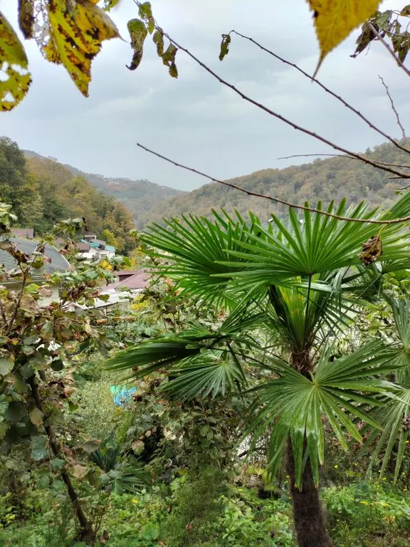 Уютный дом для большой семьи или компании в окружение сада