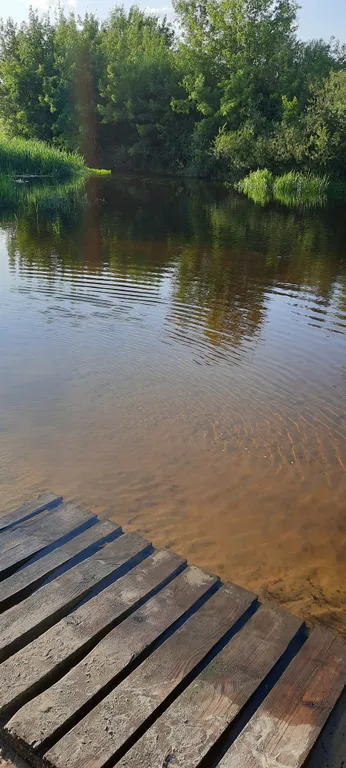 Дача у реки