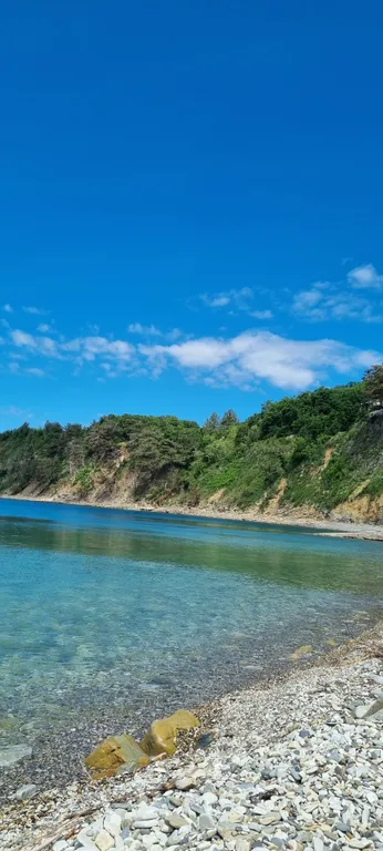 Коттедж с видом на море — аренда посуточно в Сосновый