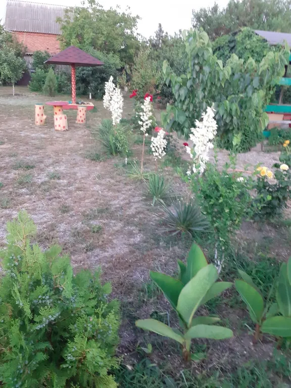 Отдых у Людмилы