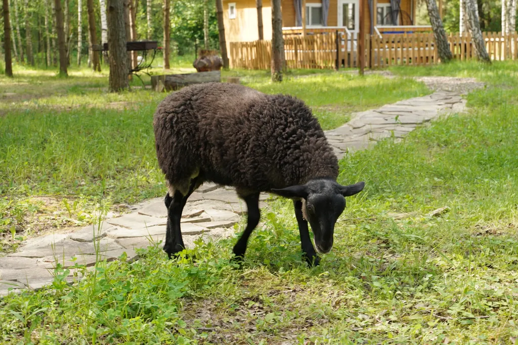 Отдых в лесу с баней и горячим чаном