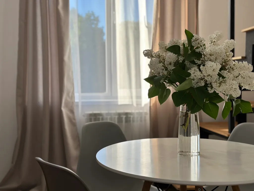 Апартаменты Столица