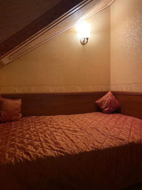 Профессорская дача