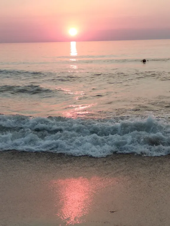 Квартира 1-комнатная Квартира — Зеленоградск