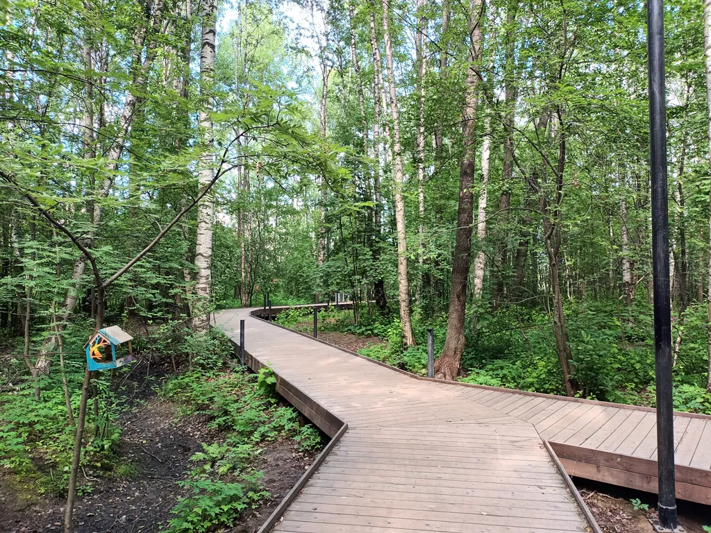 Высоко у парка Оккервиль