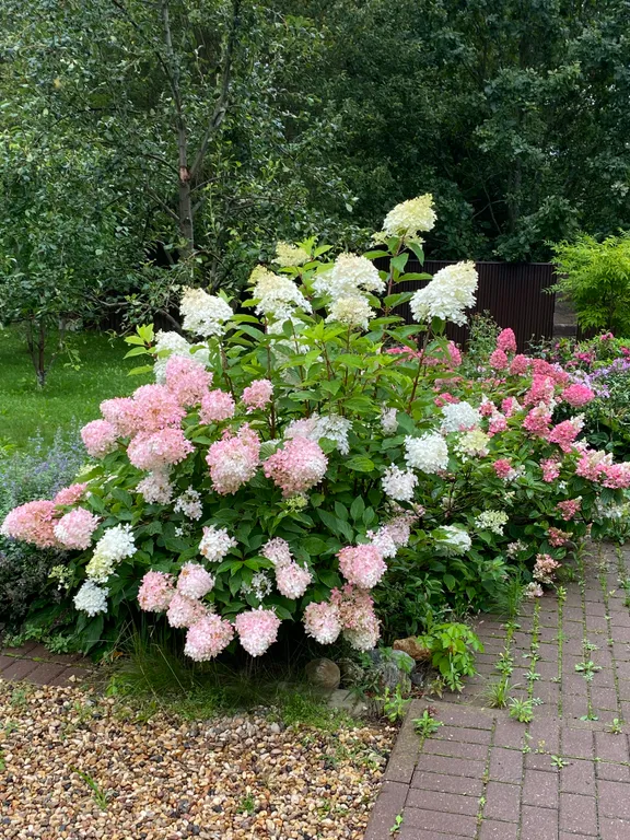 4-комнатный Дом