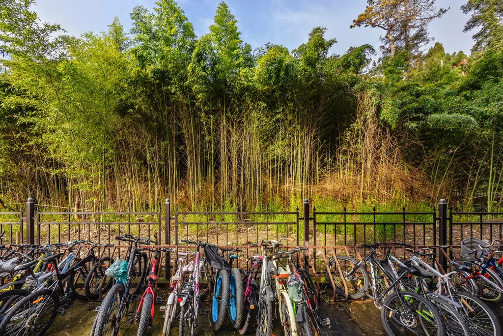 Квартира Квартира вблизи моря и парка — Сириус