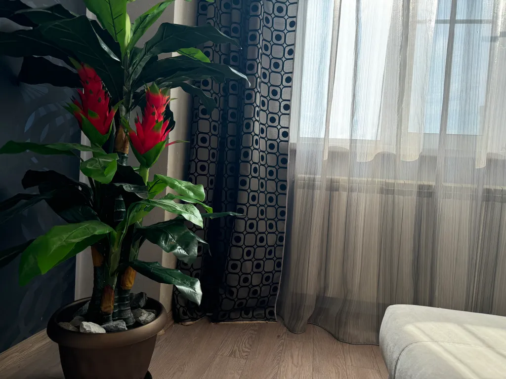 Квартира Уютная квартира рядом с зоопарком — Новосибирск