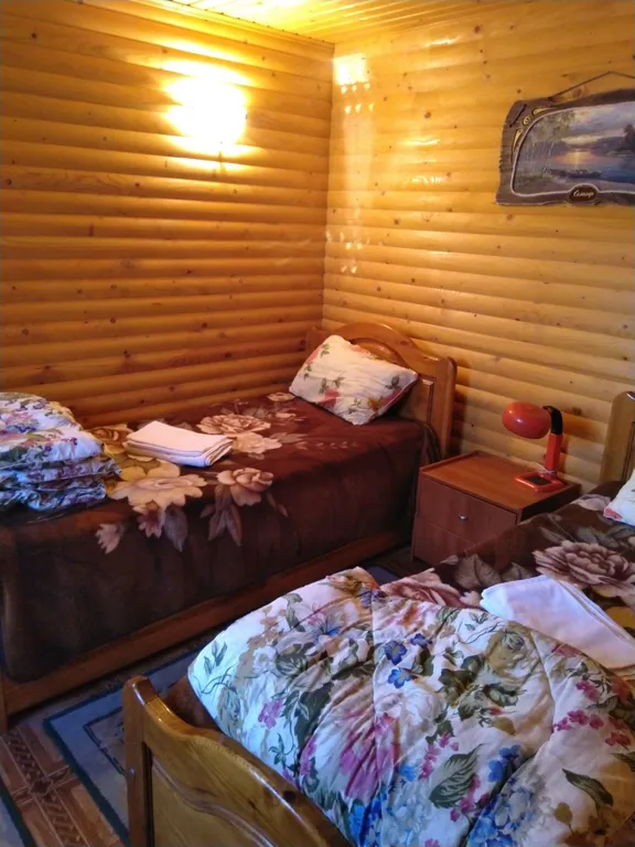 Дом в сосновом бору на озере Селигер