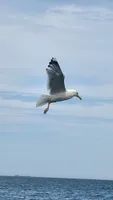 Милана Шайдабекова