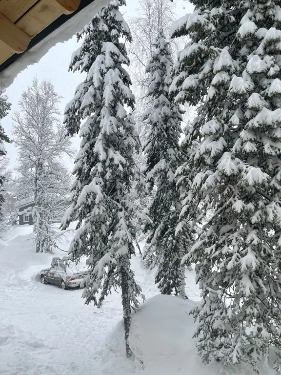 Апартамент однокомнатный "Центровой" (№8)