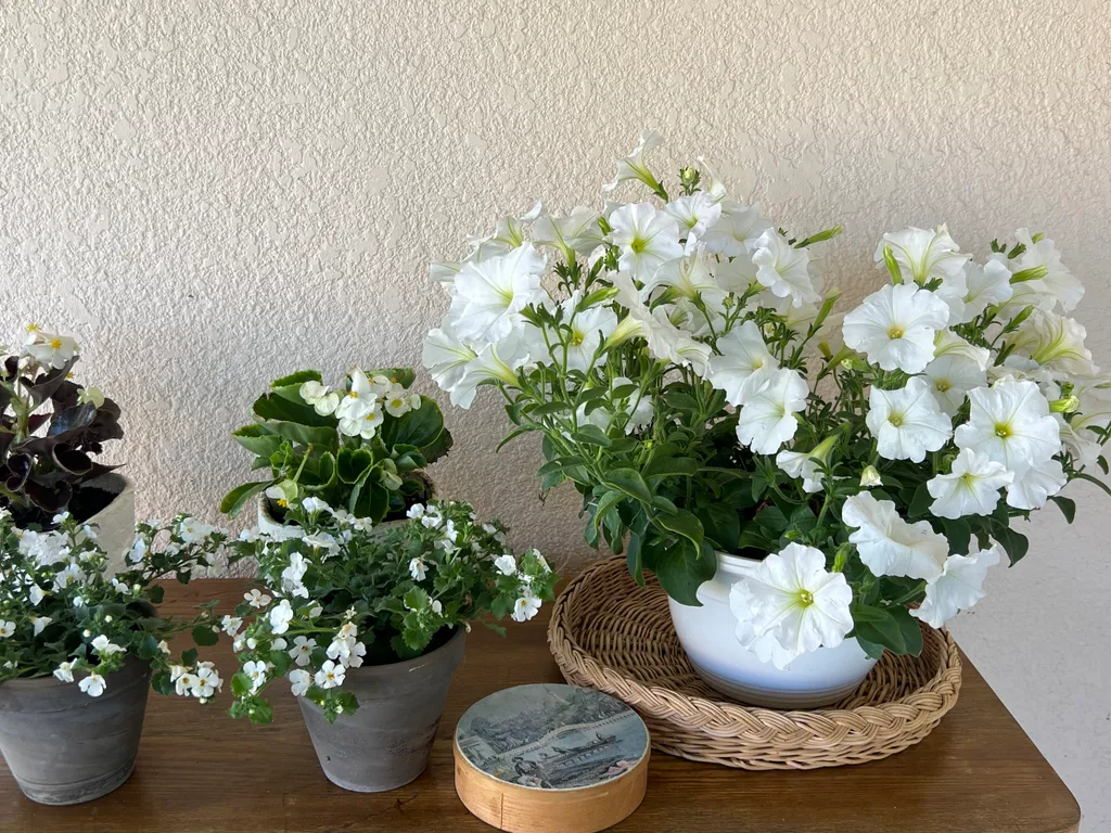 Дом у трех озер