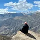 Артем