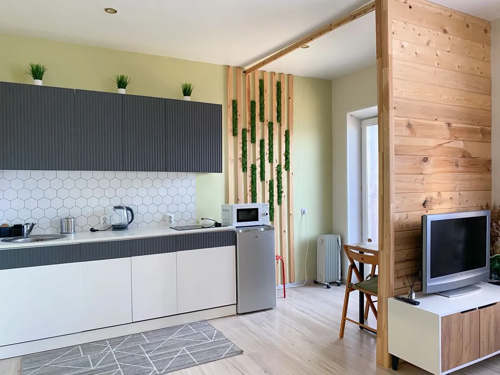 Студия у Онежского озера