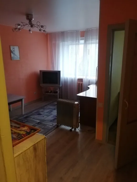 Уютная однокомнатная квартира в центре города