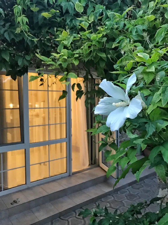 Двухкомнатный номер с отдельной изолированной комнатой