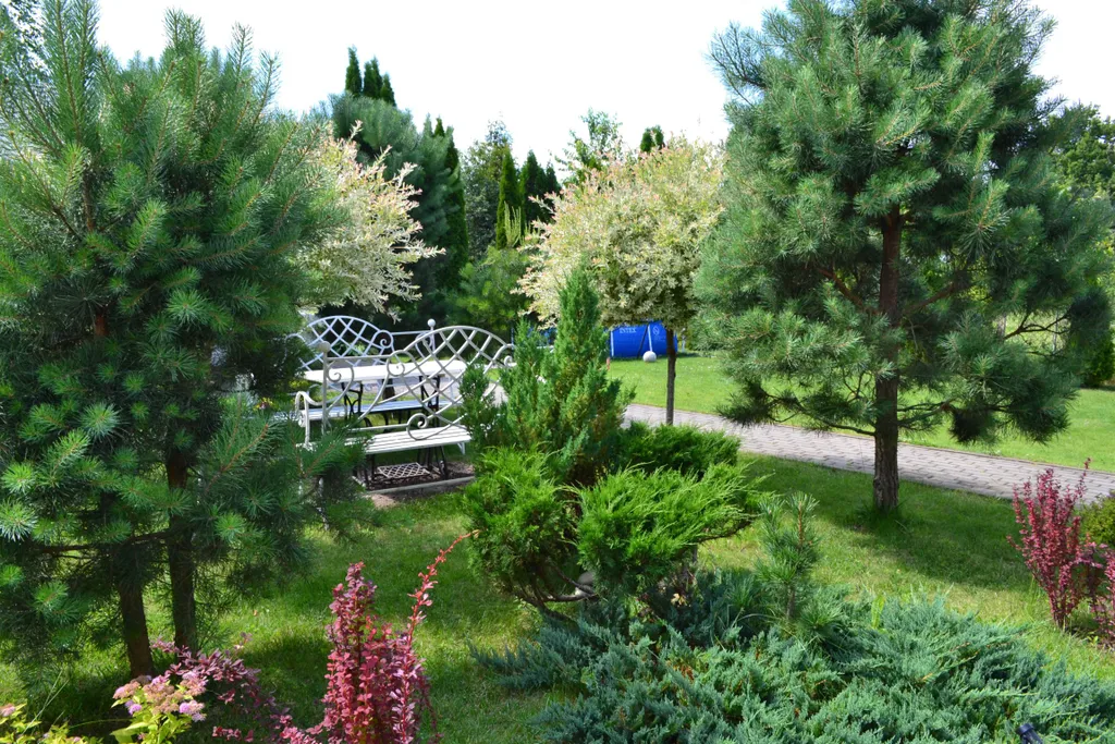 Эко дом у озера + баня удобно размещается 14 человек