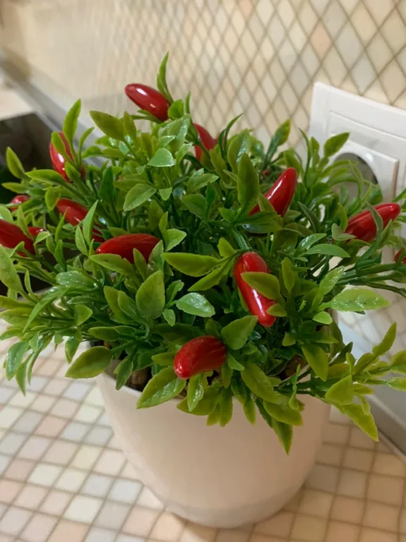 Квартира Квартира Студия Добрый День — Шушары