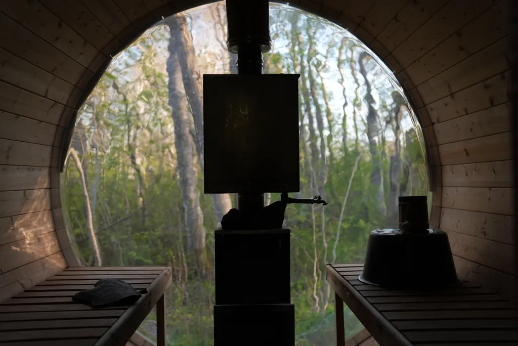 Коттедж Панорамный всесезонный купол с видом в лес — Сиверский