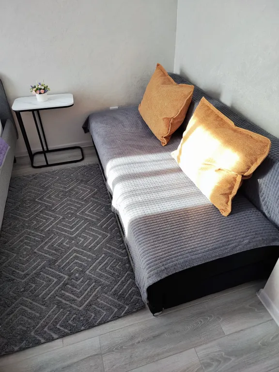 Квартира Уютная, светлая квартира — Калининград