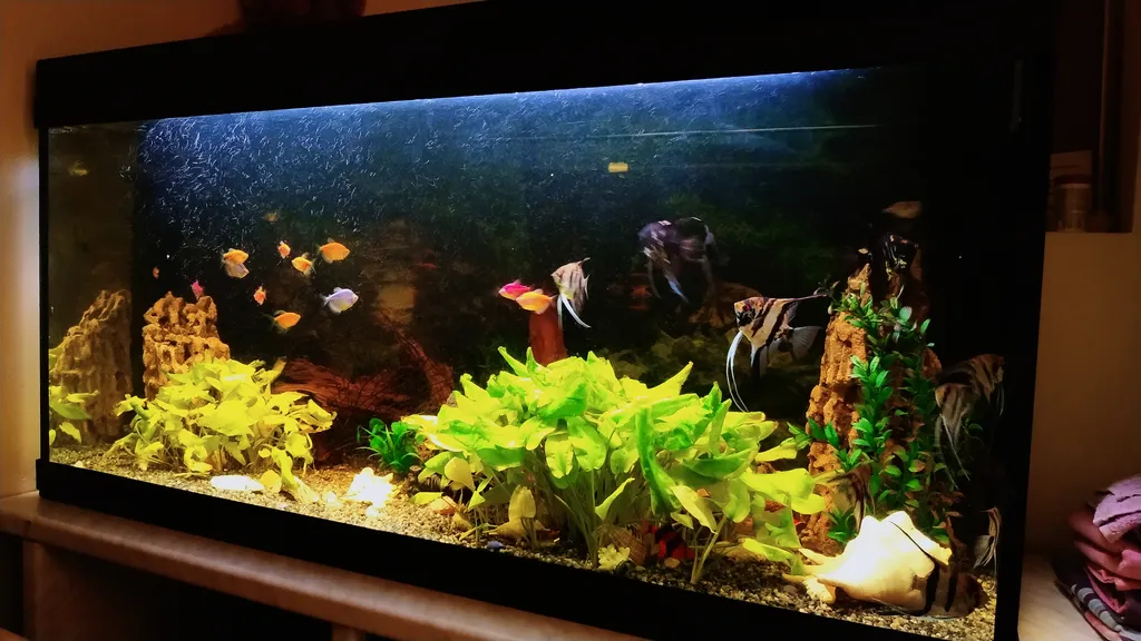 Квартира с массажным креслом и аквариумом