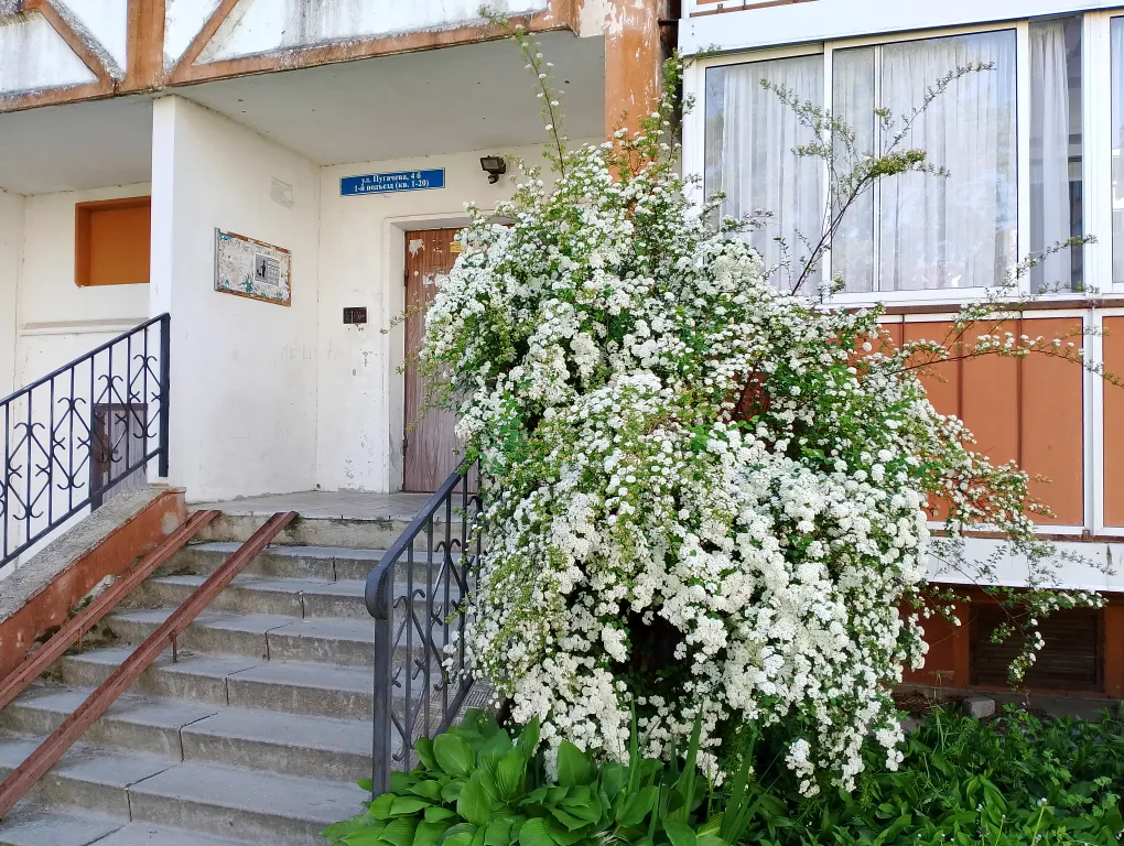 Комфортная 2-х комнатная квартира в центре города и рядом с морем