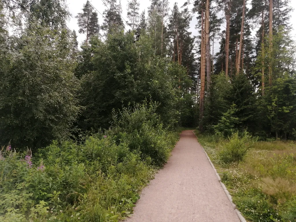 Уютная квартира в живописном уголке Ленинградской области