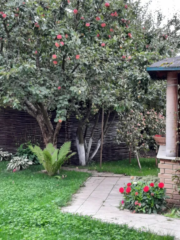 Вилла Стрекоза