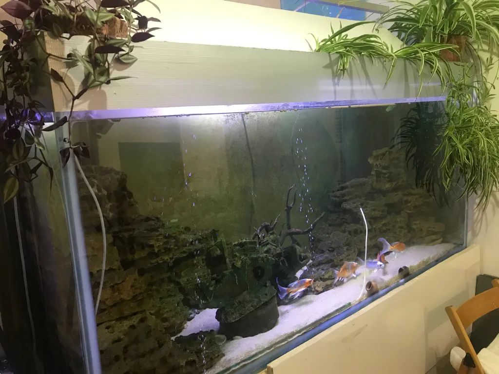 Квартира 1-комнатная Квартира — Лазаревское