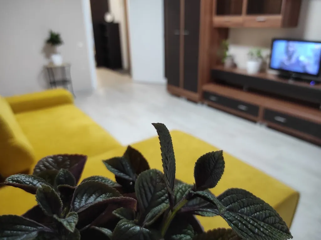 Просторная однокомнатная квартира