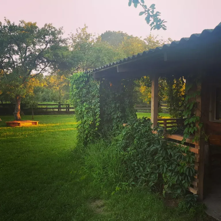 Уютный домик в Беловежской пуще, для тех, кто ценит тишину