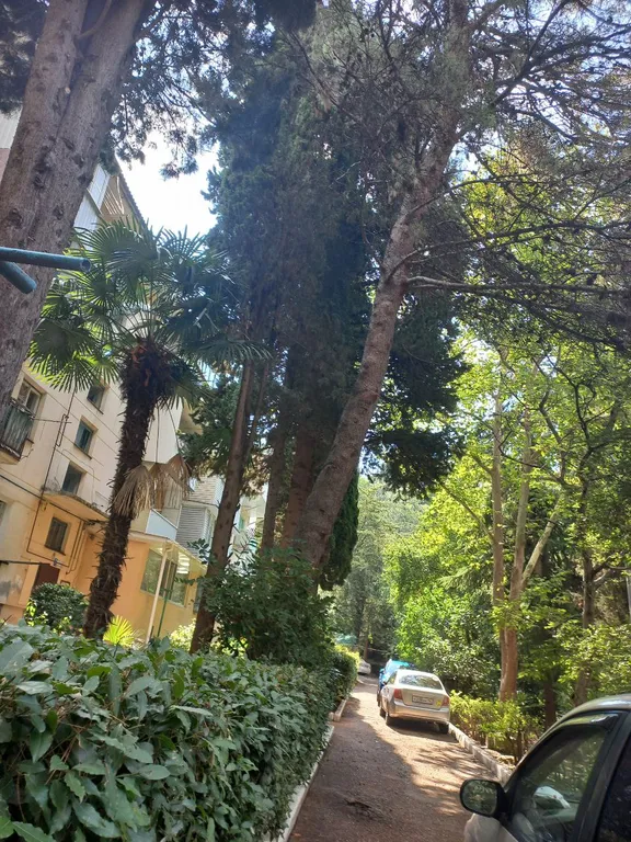 Двухкомнатная с двориком