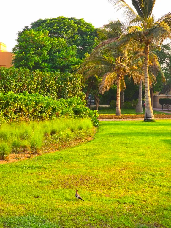 Апартаменты с частным пляжем и видом на сад на острове Марджан