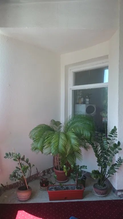 Изумительная двухкомнатная квартира у моря