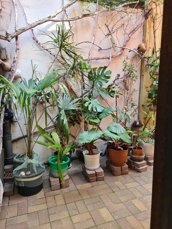 Квартира Апартаменты 2х комнатные на мансарде — Анапа