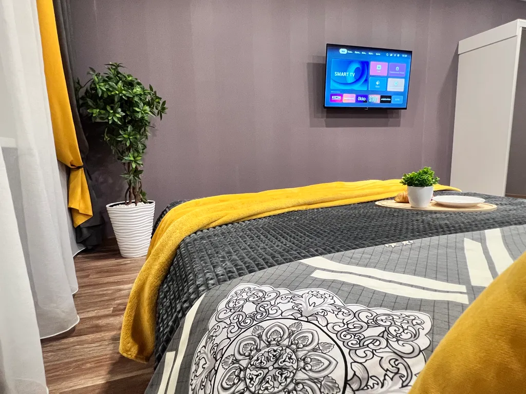 Студия Желтые тюльпаны