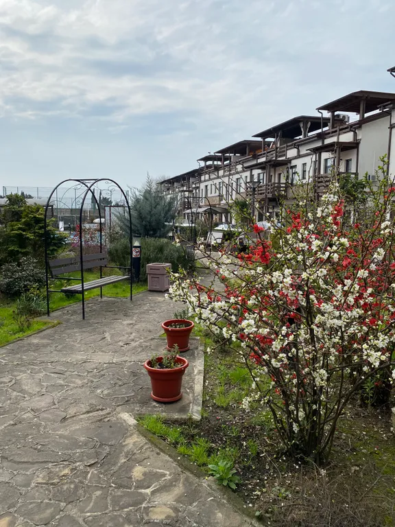 Апартаменты с бассейном Мандарин парк