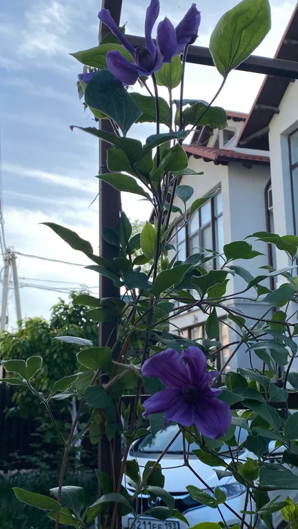 Квартира Квартира Отдых у моря — Геленджик