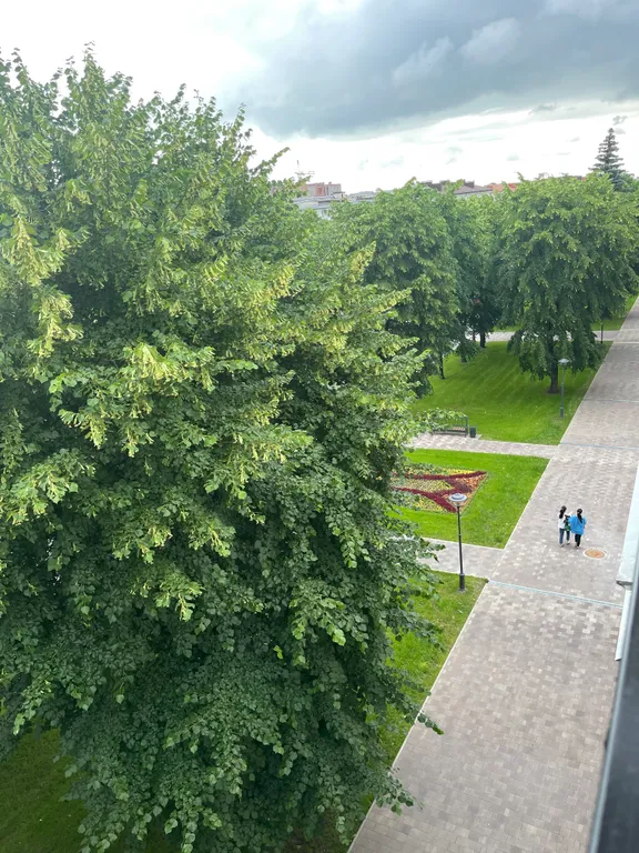 Квартира в центре