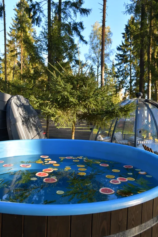 Дом на семью или компанию в лесу у большой воды