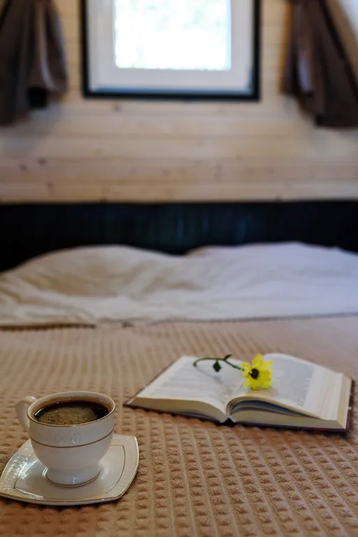 А-фрейм с видом на горы