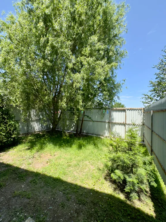 Уютный домик у моря в единственном лиановом лесу в России