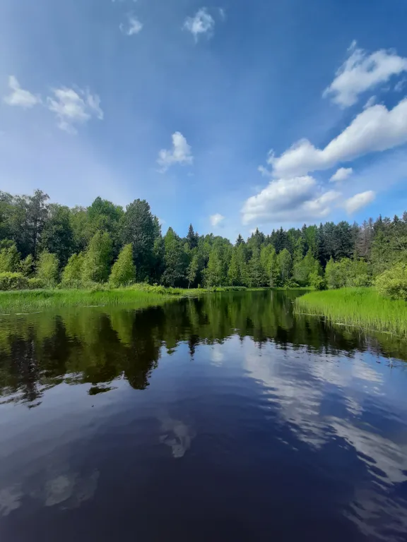 Уютный домик у реки