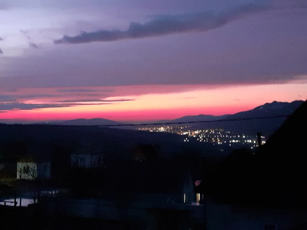 Уютный дом, можно с собакой