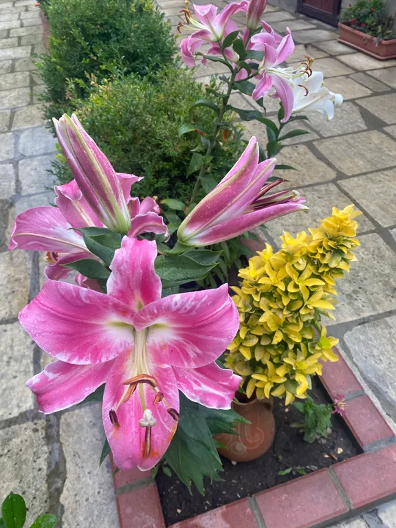 Уютный домик