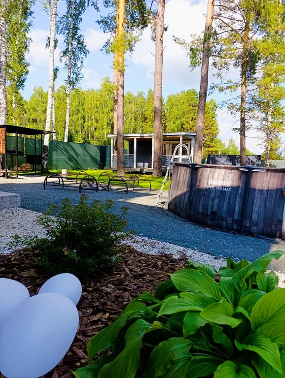 Дом комфорт класса у леса