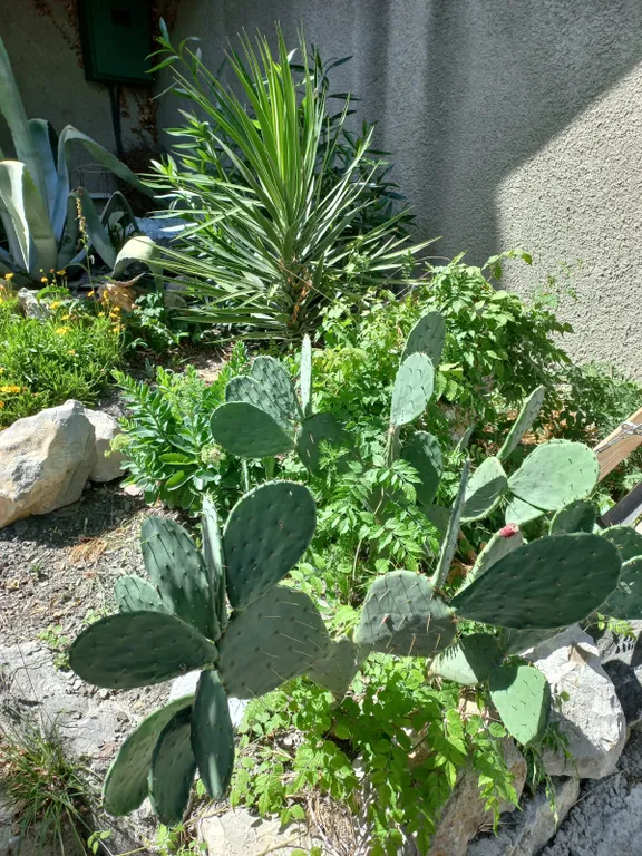 Квартира со всем необходимым