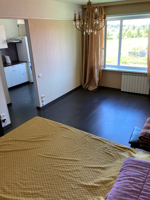 Квартира с видом на Рускеальский Экспресс и ранним заселением