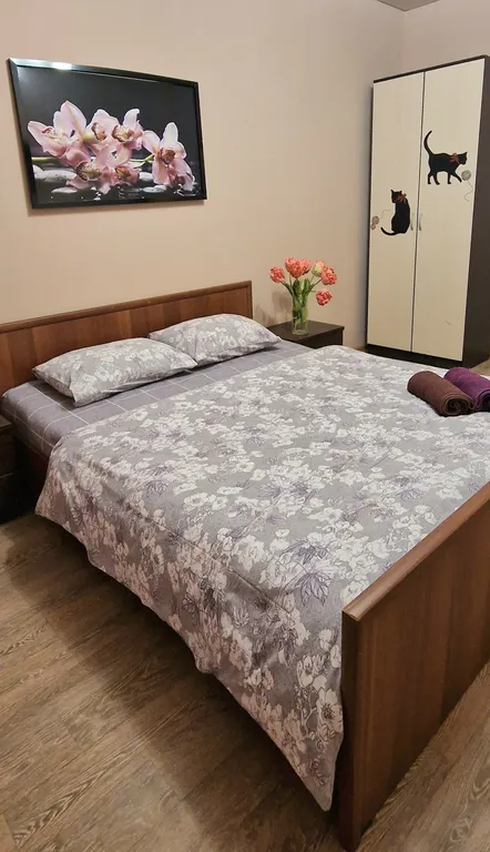 Квартира Комната в центре Питера — Санкт-Петербург